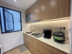 RiverParc Residence (D19), Condominium #591923701
